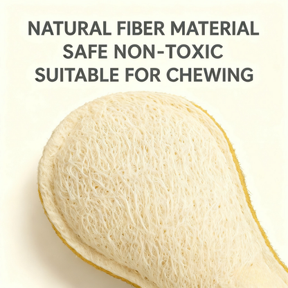 PawLikee Loofah Cat Toy