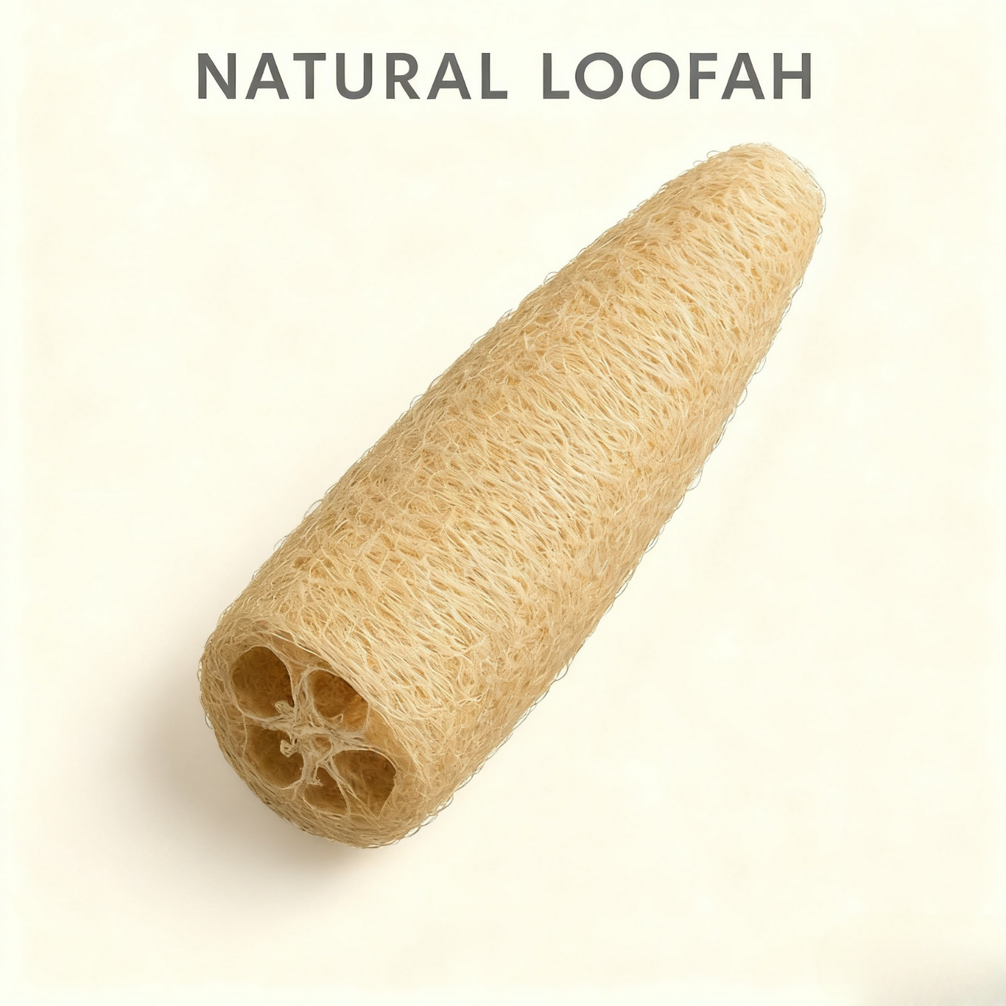 PawLikee Loofah Cat Toy