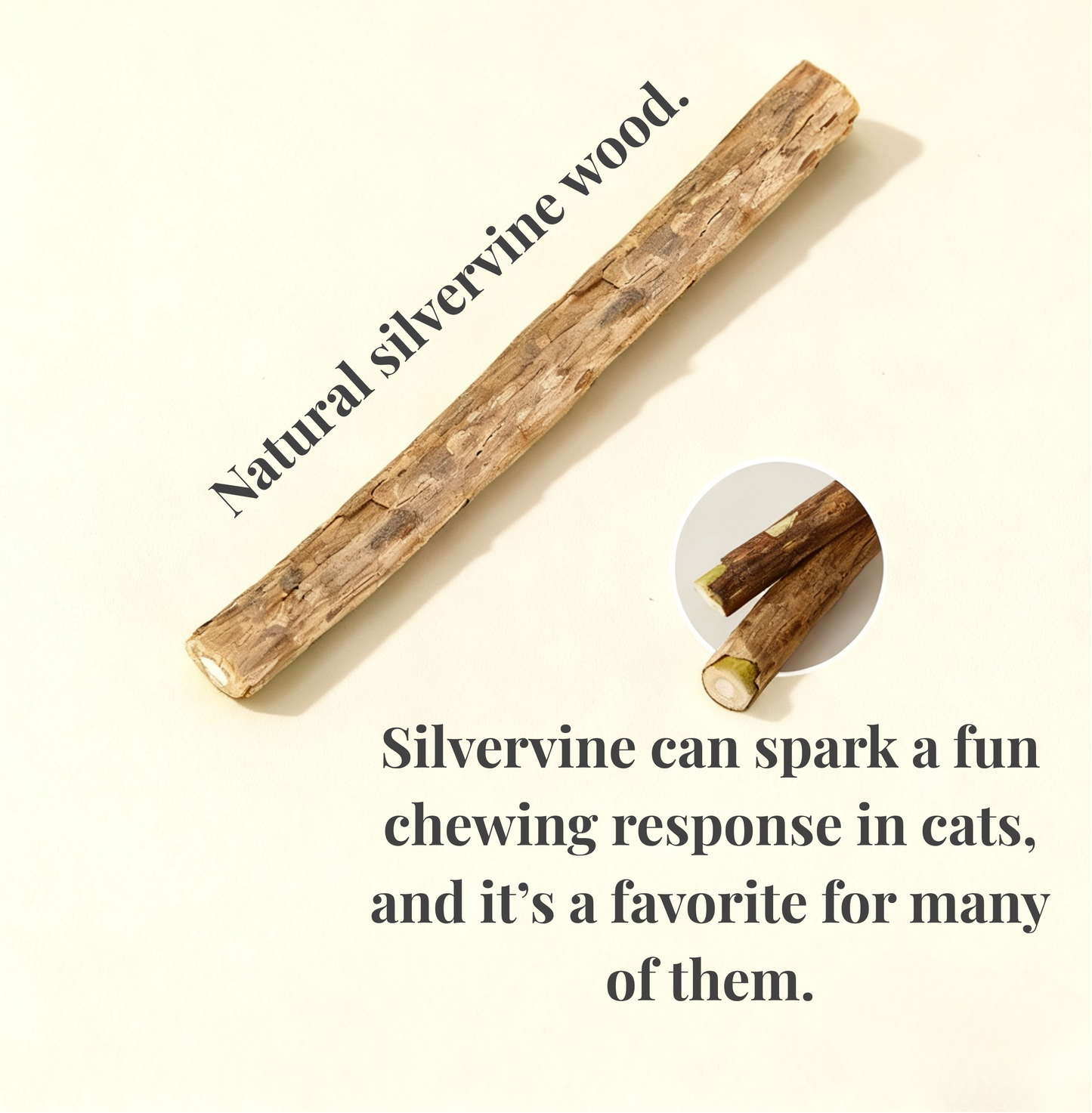 Pawlikee Veggie Silvervine Toys