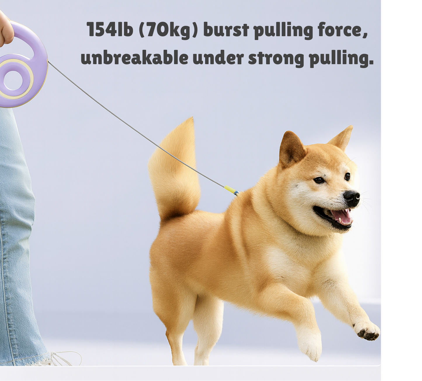 PawLikee Flexi Leash